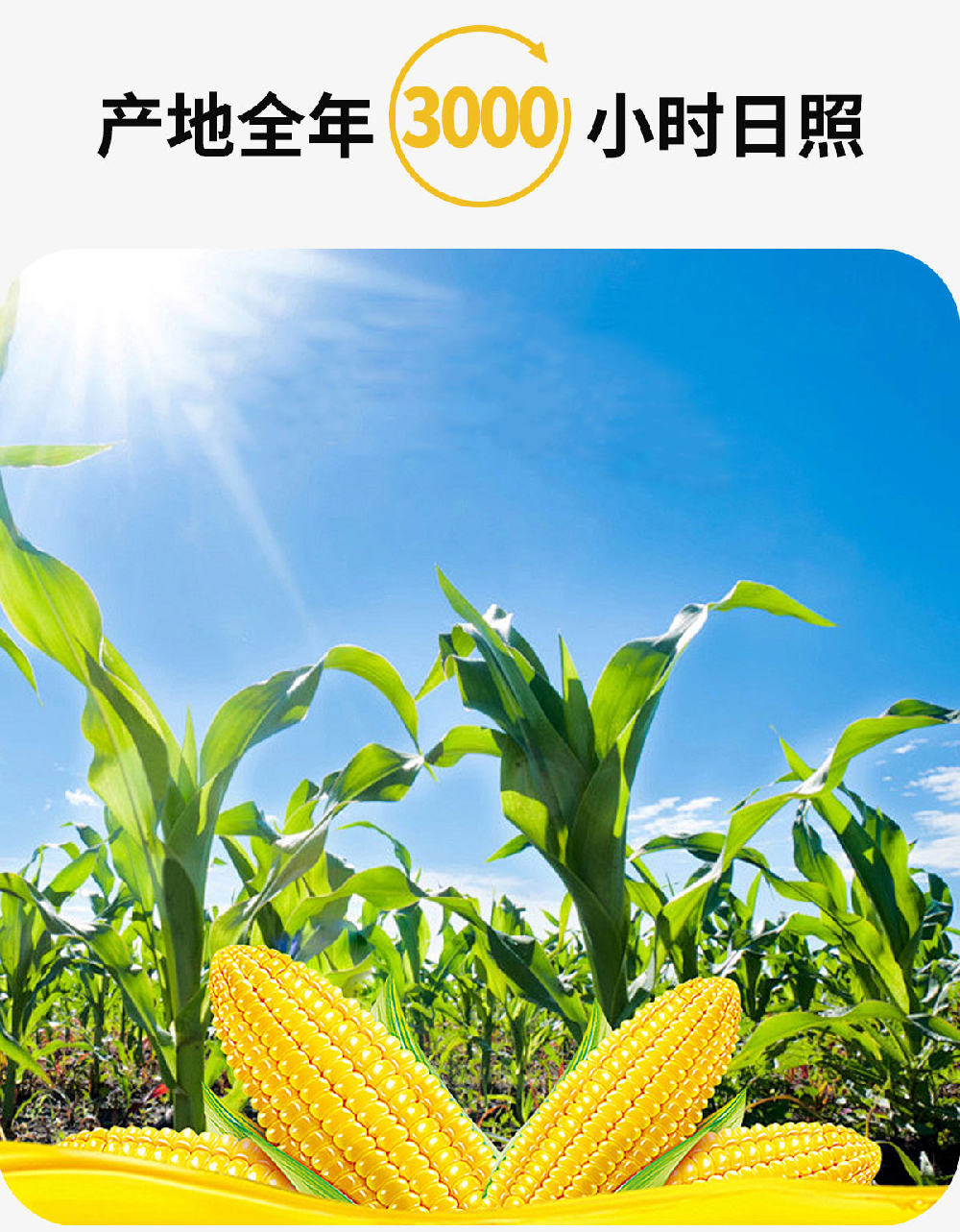 未标题-1_04